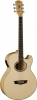 Washburn EA 20 N Washburn EA 20 N